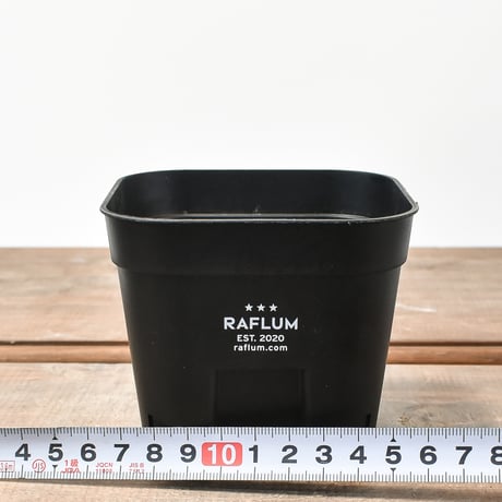 RAFLUM SLIT PLANTER サイズS/105  （3個セット）