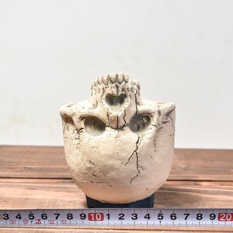 Matasuke Tatsumi（TEATOYA'S GALLERY）【Skull supine pot WHITE 】RFMT24004