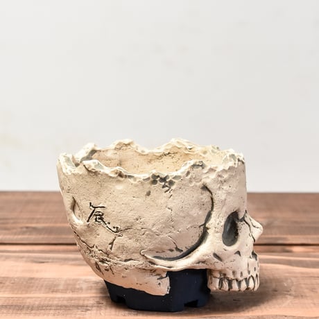 Matasuke Tatsumi（TEATOYA'S GALLERY）【Skull pot White 】RFMT24002