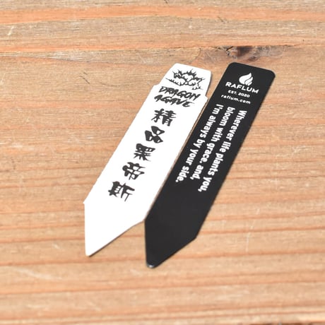 アガベ チタノタ "精品ハデス" / 精品黒帝斯、精品恐竜牙歯 【台湾 dragon agave産/中株/抜き苗】RF25012177