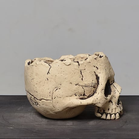 Matasuke Tatsumi（TEATOYA'S GALLERY）【Skull pot White】type A