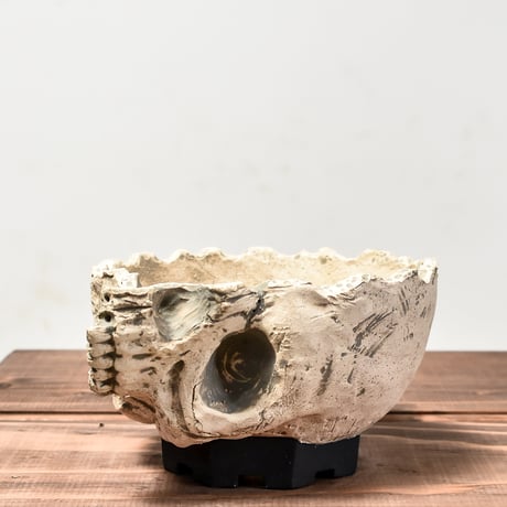 Matasuke Tatsumi（TEATOYA'S GALLERY）【Skull half face pot WHITE大】RFMT24012