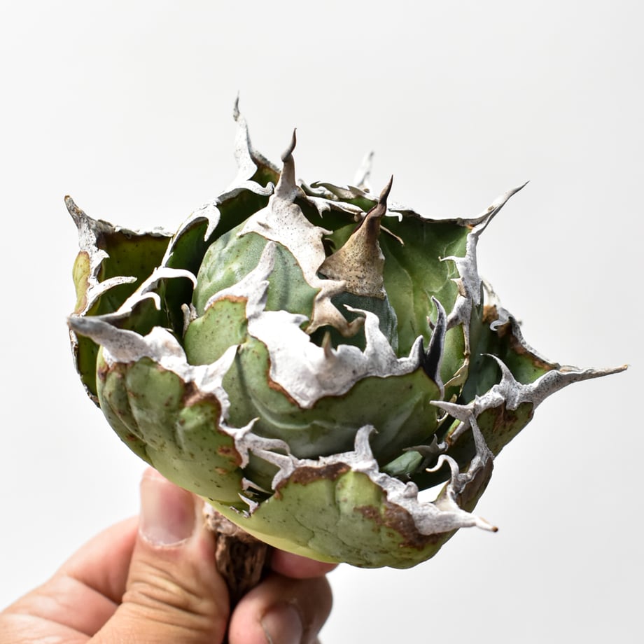 696abcc02440d48247946d4f