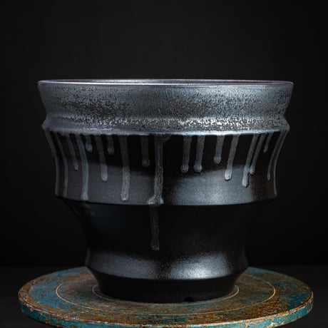 CATEGORY plants pot | RAFLUM / ラフラム｜東京、大阪の塊根植物（