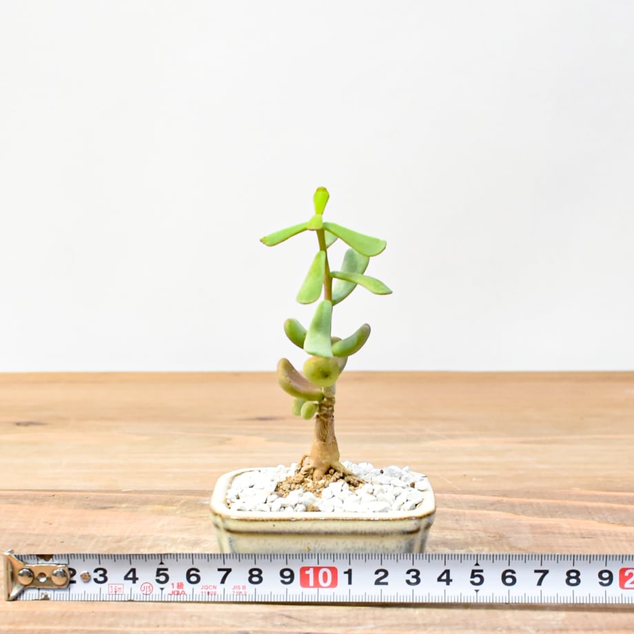 688370659391c4f9a2a497ce