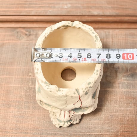 Matasuke Tatsumi（TEATOYA'S GALLERY）【Skull pot WHITE 】RFMT2409008