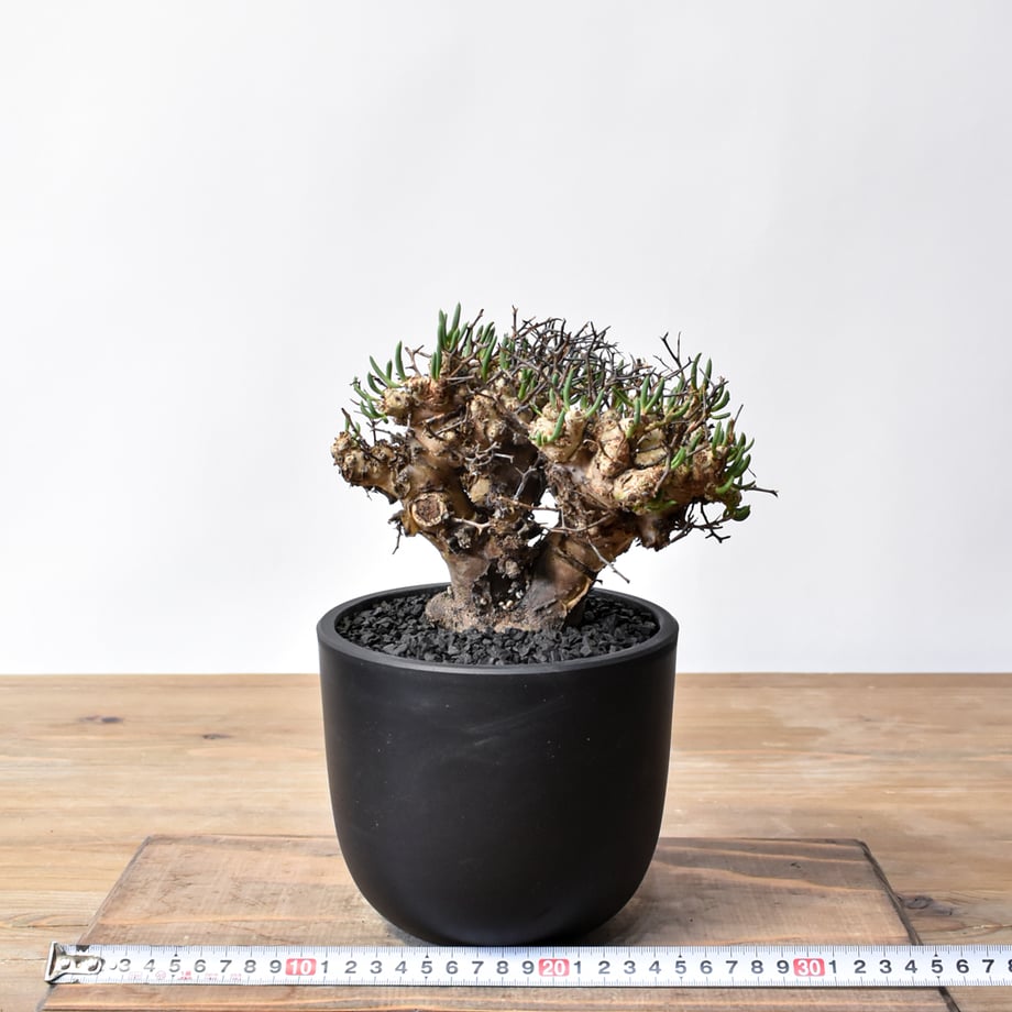 6946132d85f934202f851e58