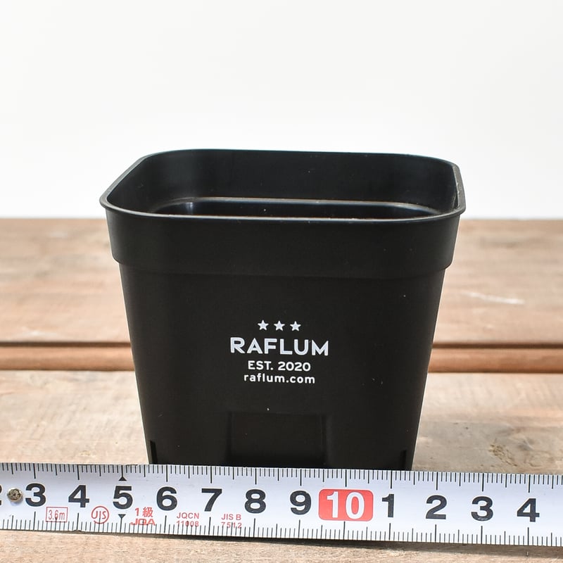 FCRB×RAFLUM プラ鉢　植木鉢セット 680610432d9c9.webp