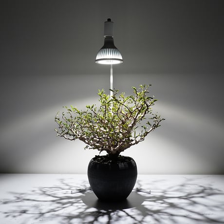 【即納 】【AKOND】74CM FLOOR LAMP STAND  "BLACK" RFTK24004(T)
