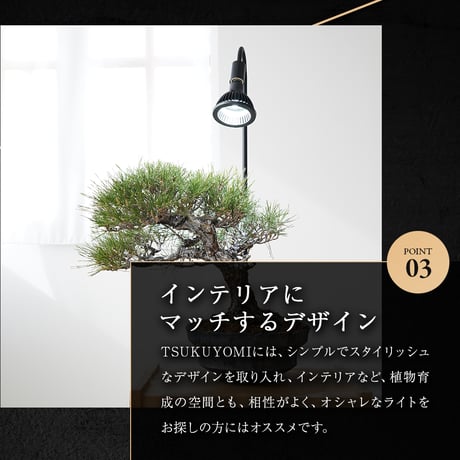【2個以上で送料無料・即納 】NEO TSUKUYOMI LED 20W BLACK EDITION RFTK24001(T)