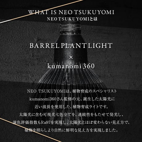 【2個以上で送料無料・即納 】NEO TSUKUYOMI LED 20W BLACK EDITION RFTK24001(T)
