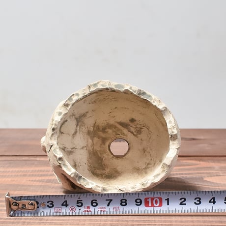 Matasuke Tatsumi（TEATOYA'S GALLERY）【Skull pot White】A