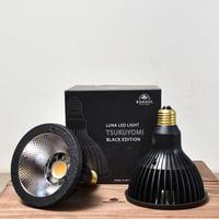 【2個以上で送料無料・即納 】NEO TSUKUYOMI LED 20W BLACK EDITION RFTK24001(T)