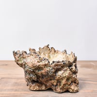 【RAFLUM】BOTH SIDES LOGO ECO POT MILO fit=scale-down,w=1200