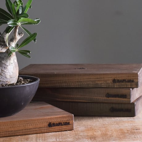 CATEGORY ウッドボード | RAFLUM / ラフラム｜東京、大阪の塊根植物