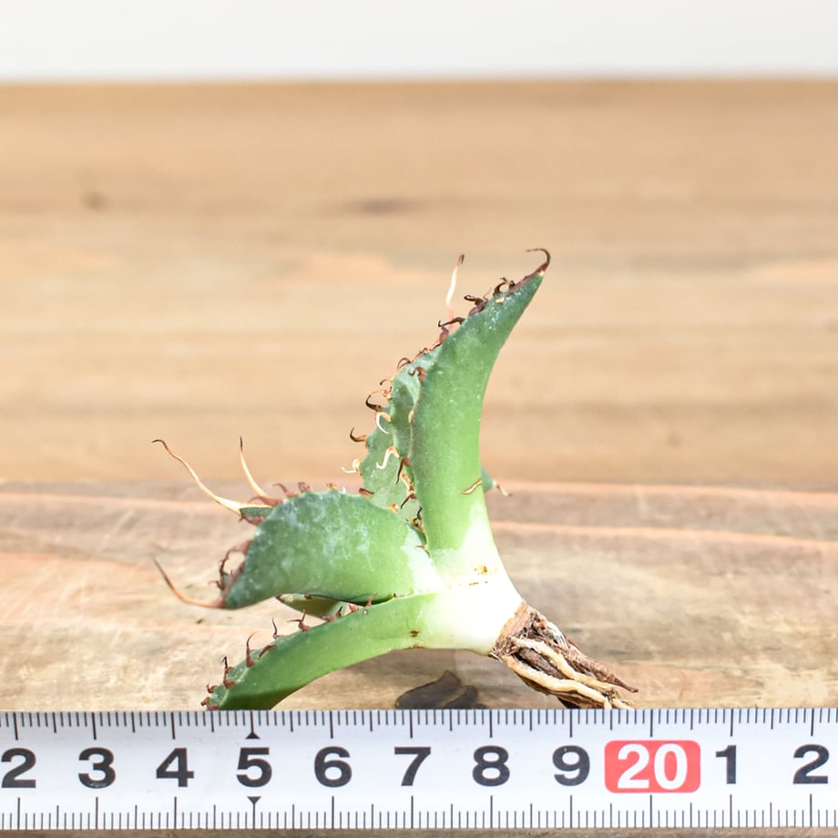 687714a9600537141e541c45