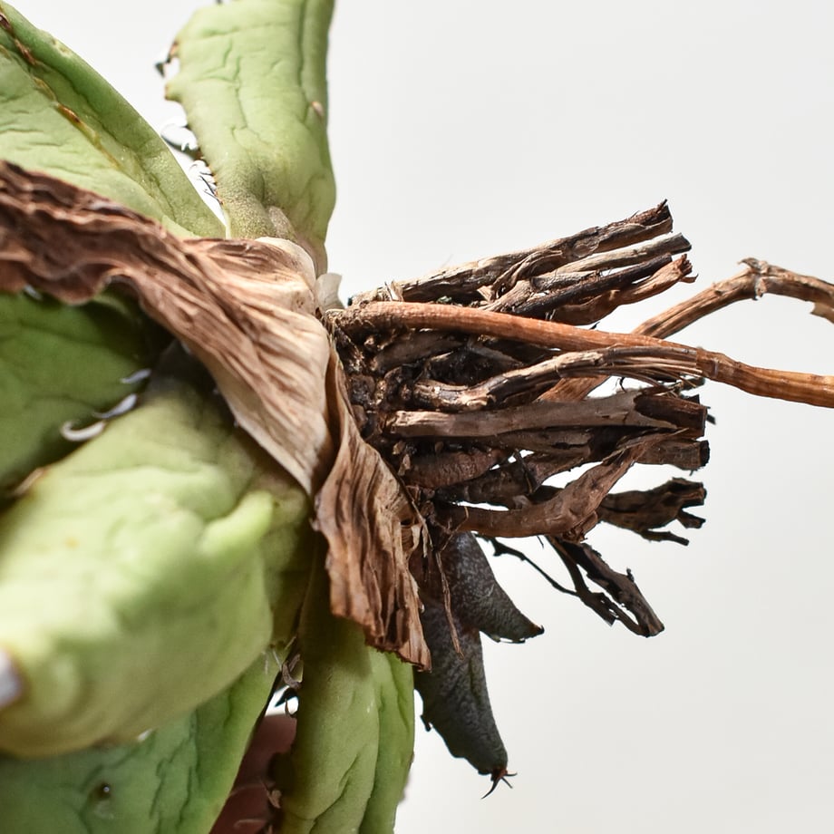 663e1a38444fad143edef7d6