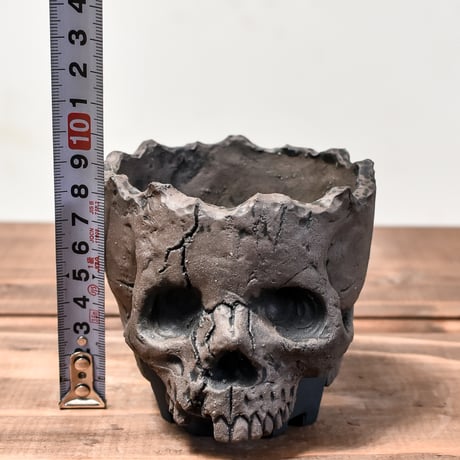 Matasuke Tatsumi（TEATOYA'S GALLERY）【Skull pot Black】RFMT24001