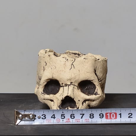 Matasuke Tatsumi（TEATOYA'S GALLERY）【Skull pot White】type A