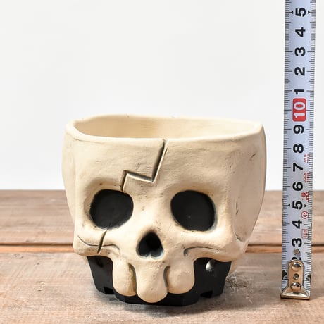 Matasuke Tatsumi（TEATOYA'S GALLERY）【Deformed Skull pot White】A