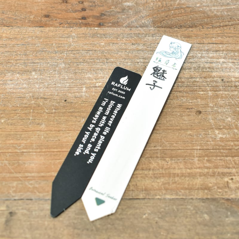 アガベ ハイブリット 