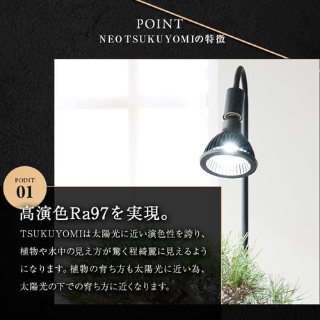 【2個以上で送料無料・即納 】NEO TSUKUYOMI LED 20W BLACK EDITION RFTK24001(T)