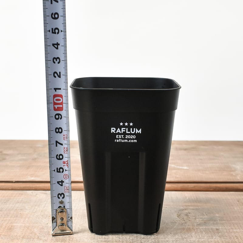 RAFLUM SLIT PLANTER サイズXS/90 
