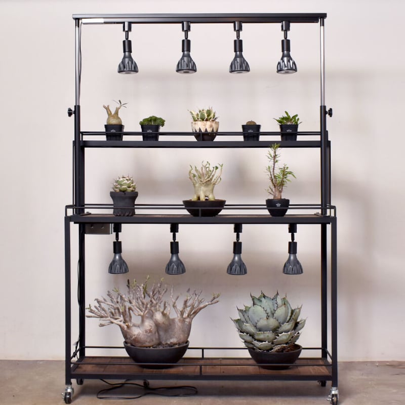 キャスター付植物棚　アイアン棚　パキプス　アイアンシェルフ　アガベ　育成ライト キャスター付植物棚 アイアン棚 パキプス アイアンシェルフ アガベ