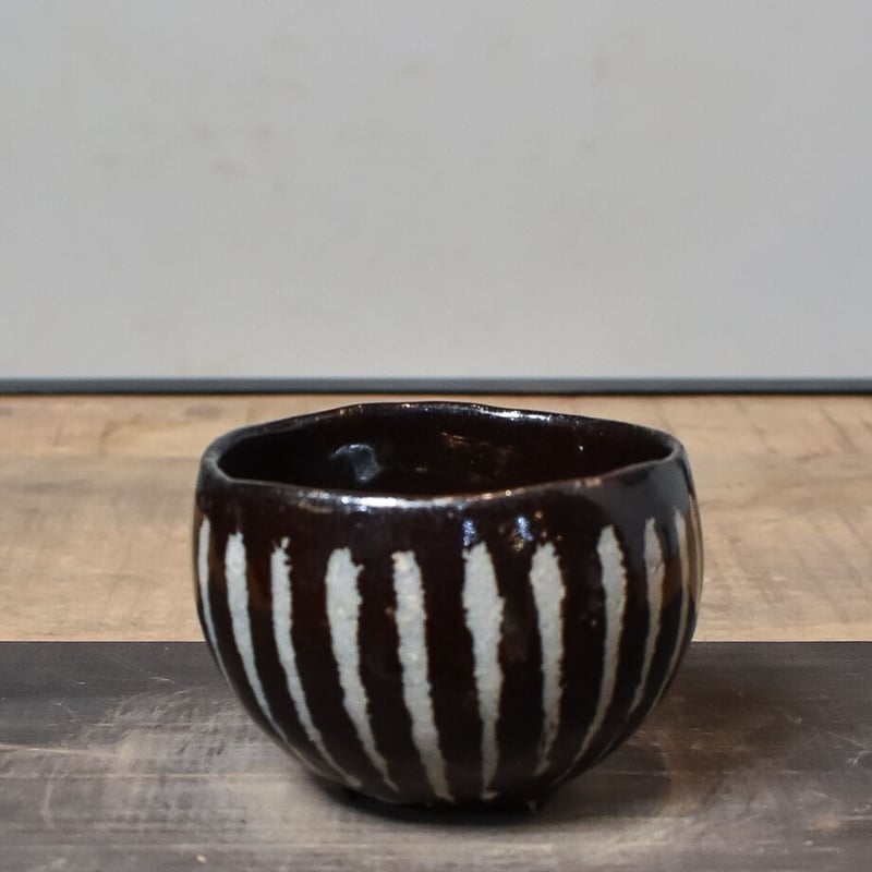 【コレクション株】ザミア フロリナーダ 美株 ダブルヘッド 作家鉢付 コレクション株】ザミア フロリナーダ 美株 ダブルヘッド 作家鉢