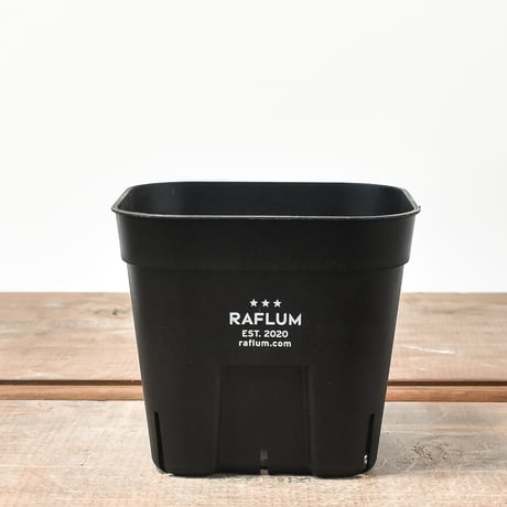 RAFLUM SLIT PLANTER サイズS/105  （3個セット）
