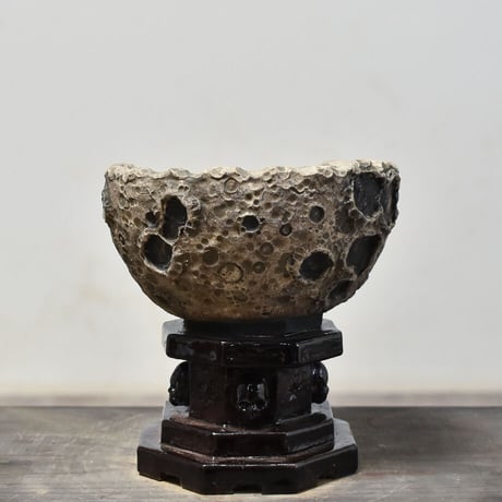 Matasuke Tatsumi（TEATOYA'S GALLERY）【Half face Skull pot Black/高台付き】RFMT23014