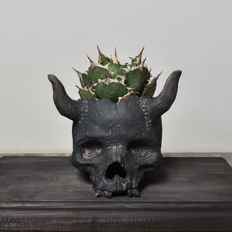 Matasuke Tatsumi（TEATOYA'S GALLERY）【Devil pot】type B