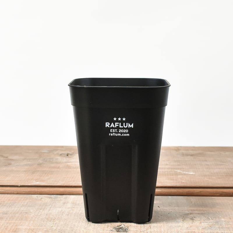 SRL BRIMTYPE POT S M 2個セット ブリムタイプ プラ鉢 Amazon.co.jp: 【5個セット】BLACK PLASTIC POT【STANDARD TYPE