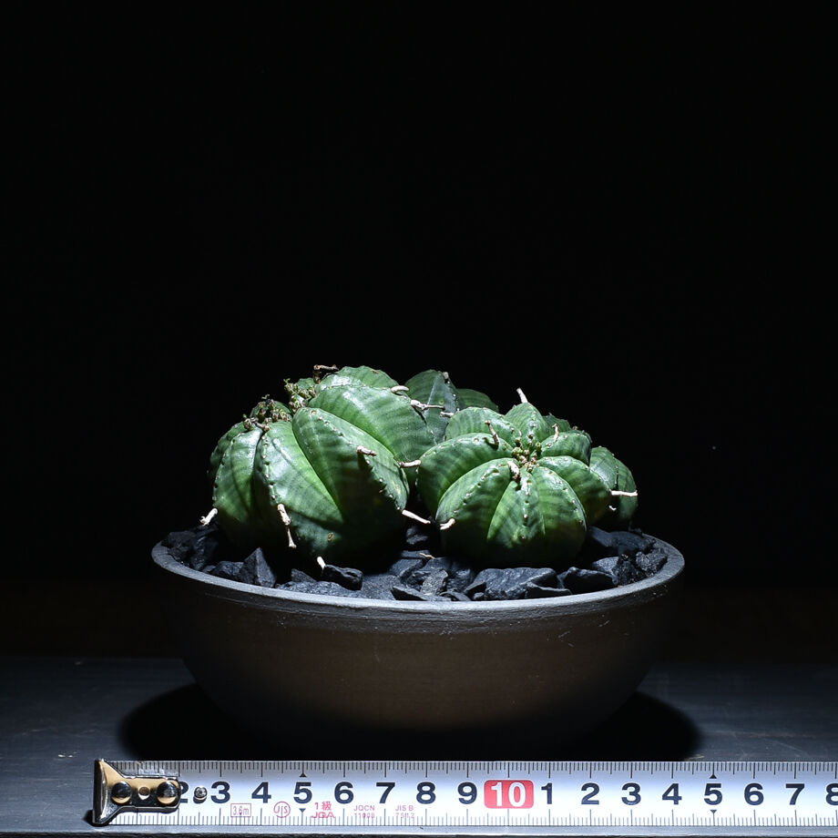 fit=scale-down,w=1200