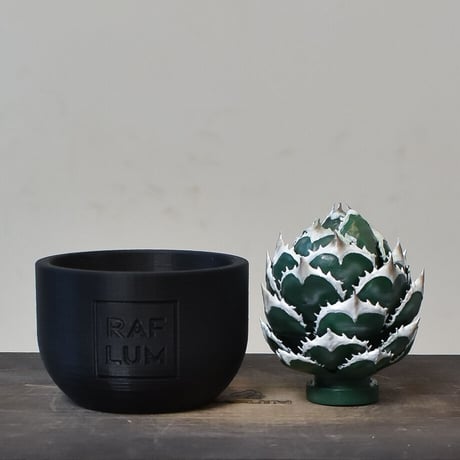 【植物フィギュア】RAFLUM × LOBINDON【Agave Titanota “White Whale】RFLB23004(T)