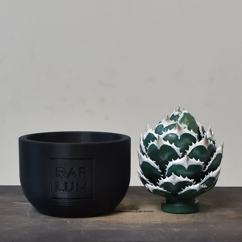 植物フィギュア】RAFLUM × LOBINDON【Agave Titanota “Whit