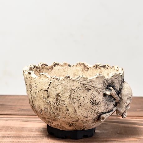 Matasuke Tatsumi（TEATOYA'S GALLERY）【Pirates pot WHITE】RFMT24022(T)