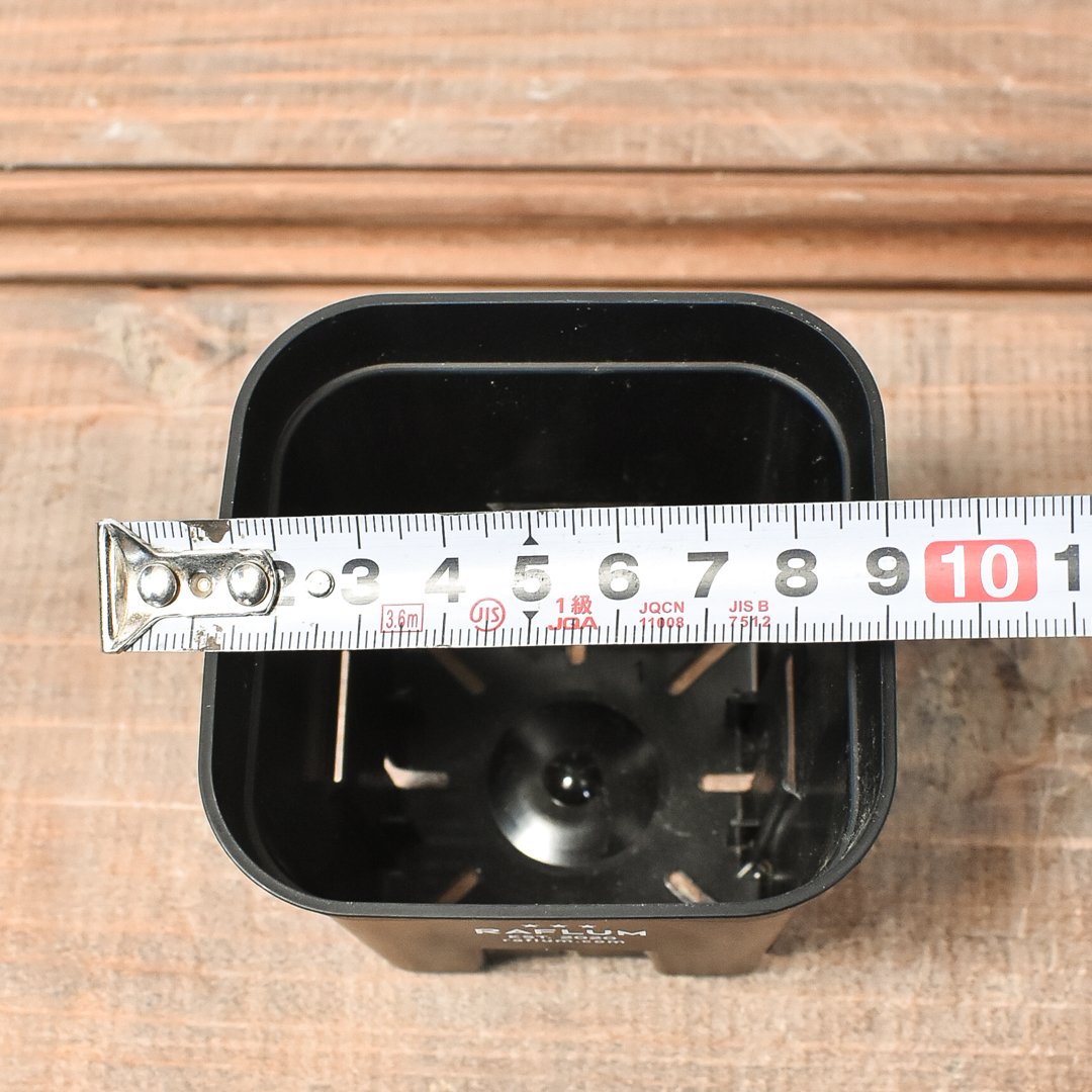 RAFLUM SLIT PLANTER サイズXS/90 (3個セット) | RAFLUM / RAFLUM SLIT PLANTER サイズXS/90 (3個セット) | RAFLUM /