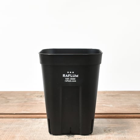 RAFLUM SLIT PLANTER サイズS/105 "深鉢タイプ" （3個セット）