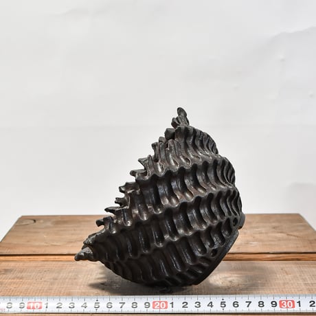 xiao.pottery / 蕭窯生活工作室【A1】RFXI2411001(T)