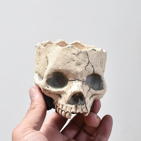 Matasuke Tatsumi（TEATOYA'S GALLERY）【Skull pot White】A