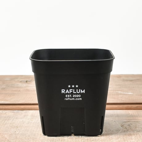 RAFLUM SLIT PLANTER サイズXS/90 （3個セット）
