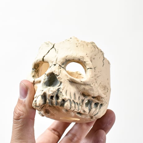 Matasuke Tatsumi（TEATOYA'S GALLERY）【Skull hole pot White】B