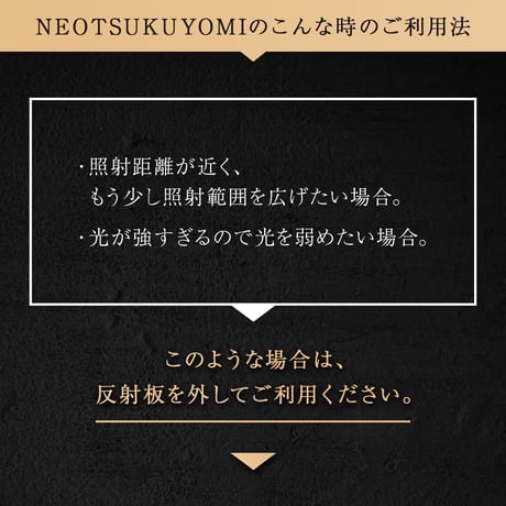 【2個以上で送料無料・即納 】NEO TSUKUYOMI LED 20W BLACK EDITION RFTK24001(T)