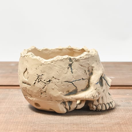 Matasuke Tatsumi（TEATOYA'S GALLERY）【Skull pot WHITE 】RFMT2409009