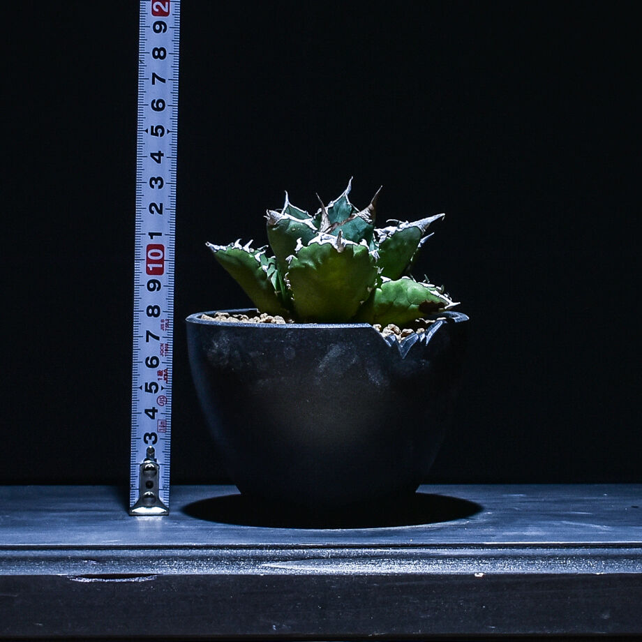 63735af14b083974d10de652