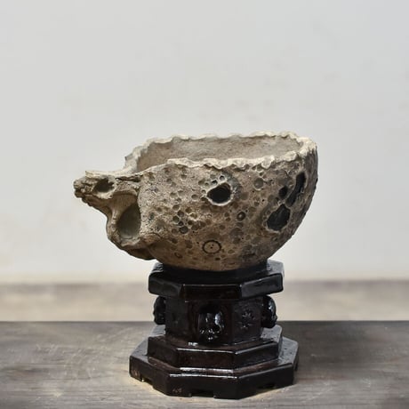 Matasuke Tatsumi（TEATOYA'S GALLERY）【Half face Skull pot Black/高台付き】RFMT23014