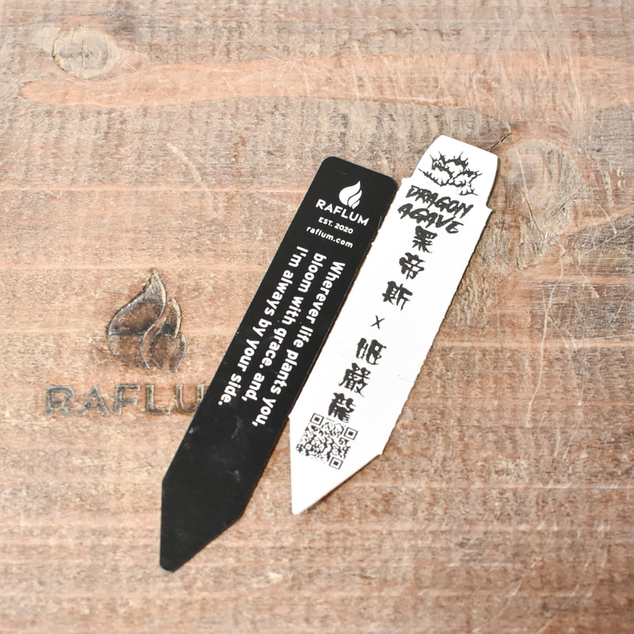 67af6e85243a750f7edc18d1