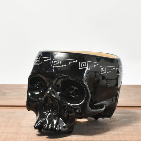RAFLUM BLACK SKULL プラ鉢 検)バリエム カタチ製作所 CATEGORY plants pot | RAFLUM / ラフラム｜東京、大阪の塊根