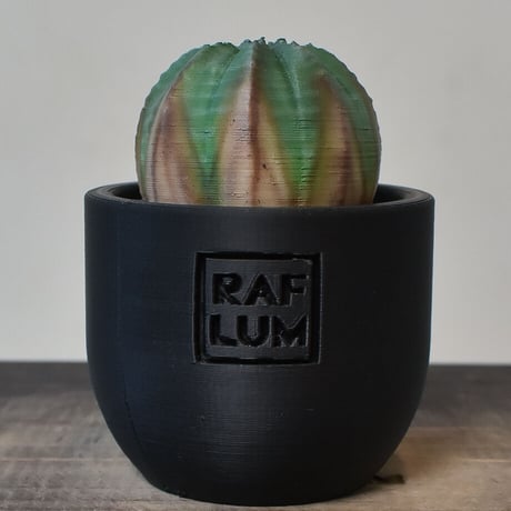 【植物フィギュア】RAFLUM × LOBINDON【Euphorbia obesa】RFLB23006